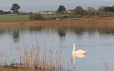 An Anti-Post for a Dreary February Afternoon